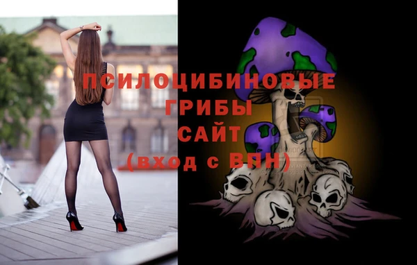 бутират Алексин