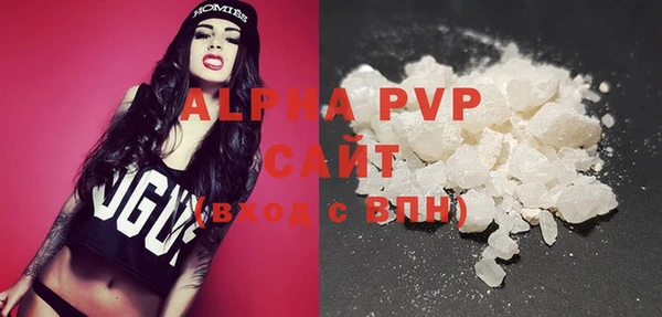 индика Медвежьегорск
